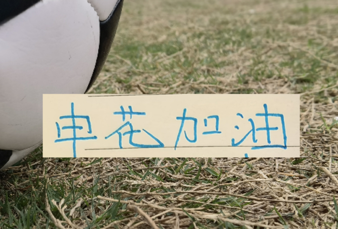 半岛体育入口-如果没有罚分的话！申花应该是夺冠热门 而不是在保级区域擦边